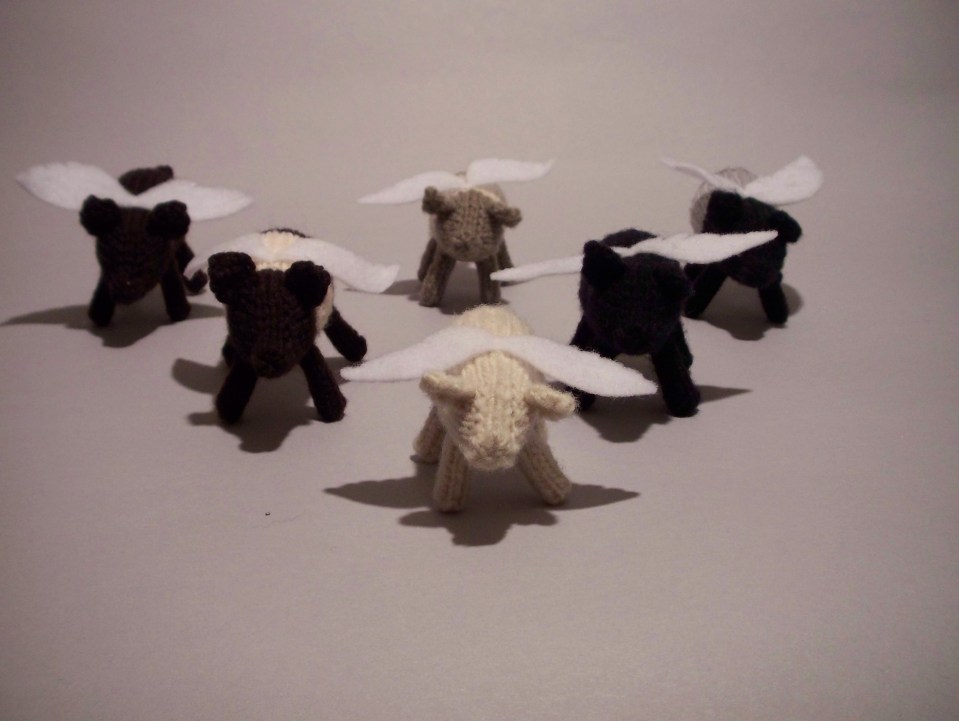 Anything is possible