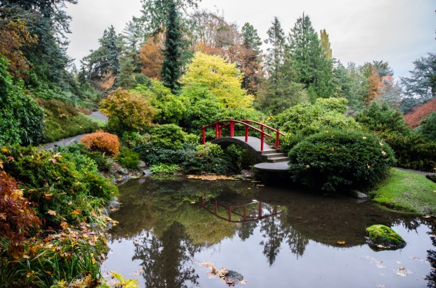 Kubota Gardens