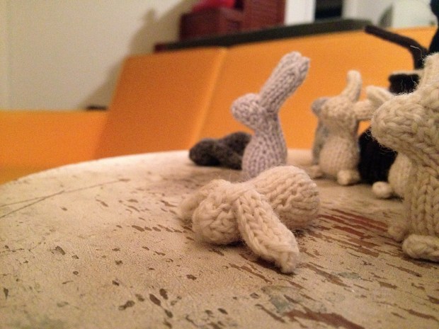 Knitting bunnies